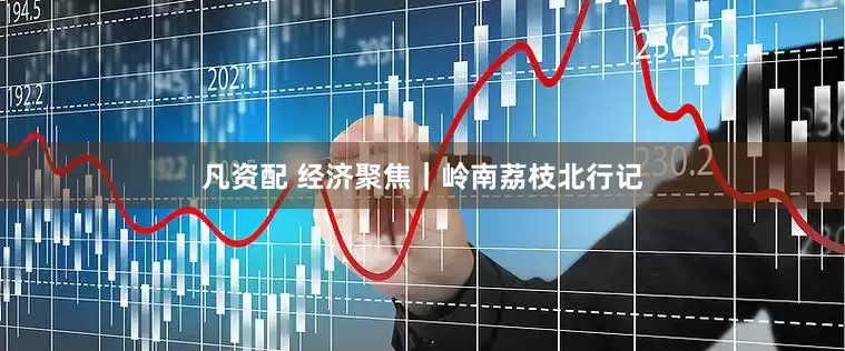 凡资配 经济聚焦｜岭南荔枝北行记