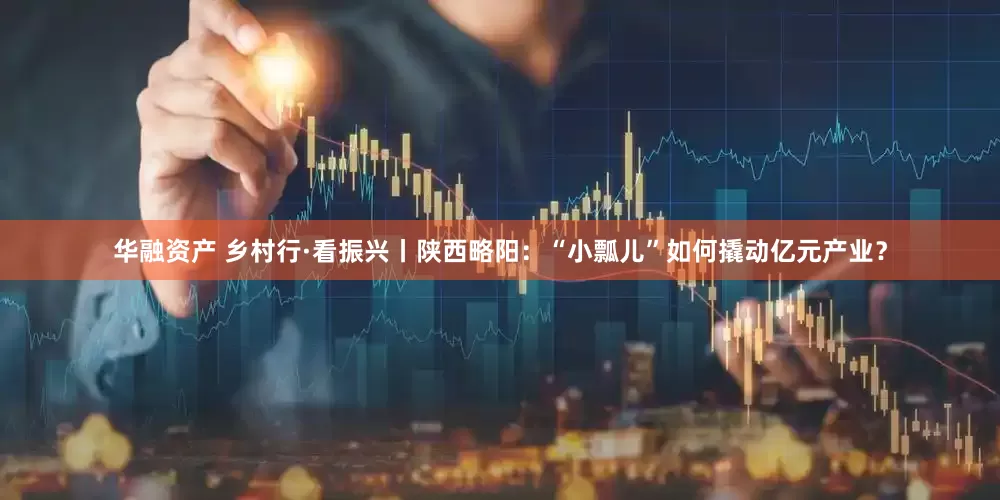 华融资产 乡村行·看振兴丨陕西略阳：“小瓢儿”如何撬动亿元产业？