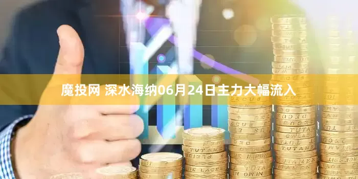 魔投网 深水海纳06月24日主力大幅流入