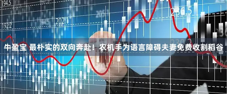 牛盈宝 最朴实的双向奔赴！农机手为语言障碍夫妻免费收割稻谷