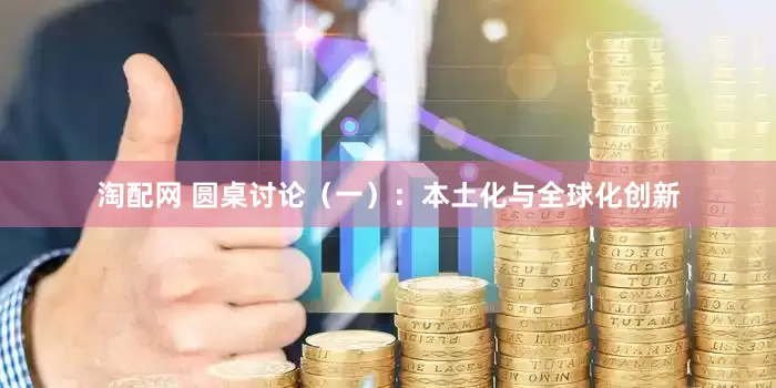 淘配网 圆桌讨论（一）：本土化与全球化创新